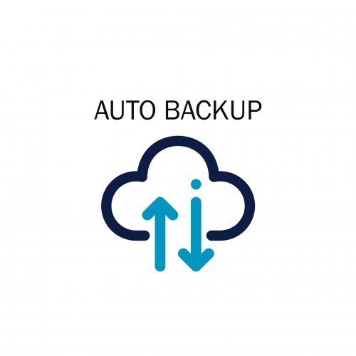 Auto Backup